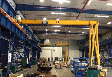 Grue Européenne Semi Goliath